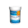 GYMNEMA SYLVESTRI 200 GELULES